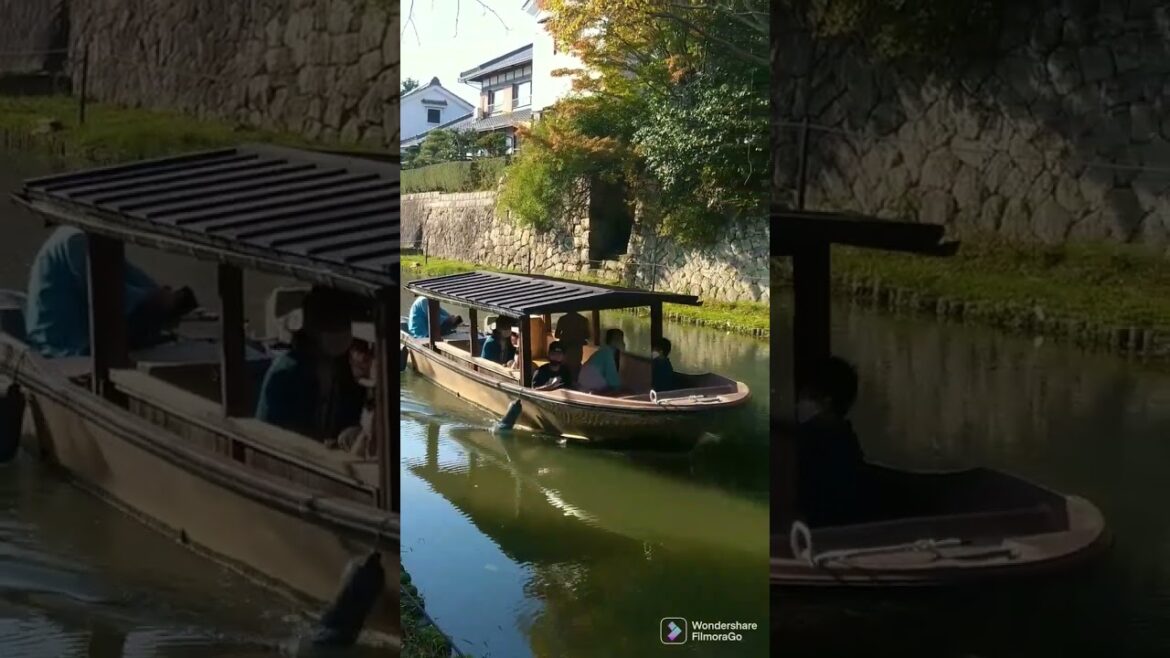 Emotional landscape of Japan, near Kyoto #japan#shorts #kyoto