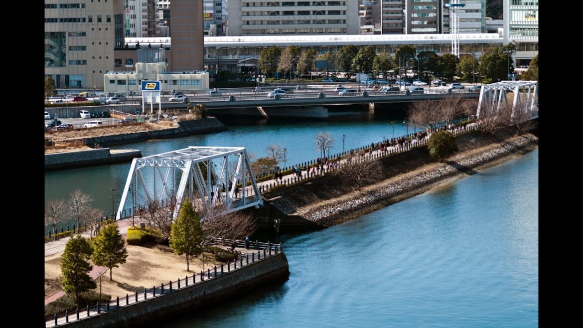 🔴Live Cam Yokohama Japan /横浜汽車道Live往来カメラ 11 Nov 2022 🔴Live Cam Yokohama Japan /横浜汽車道Live往来カメラ 11 Nov 2022