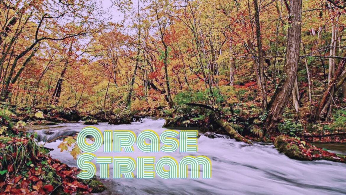 Oirase Stream #aomori