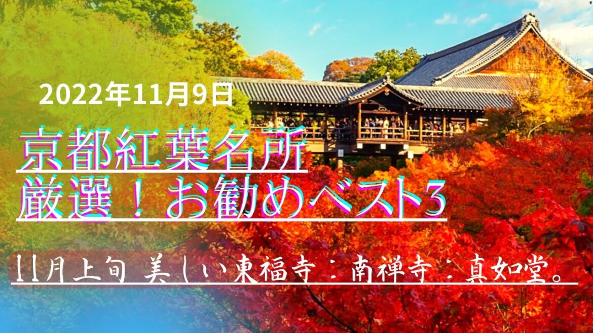 京都紅葉2022ベストスポット3選！東福寺：南禅寺：真如堂！（kyoto trip）