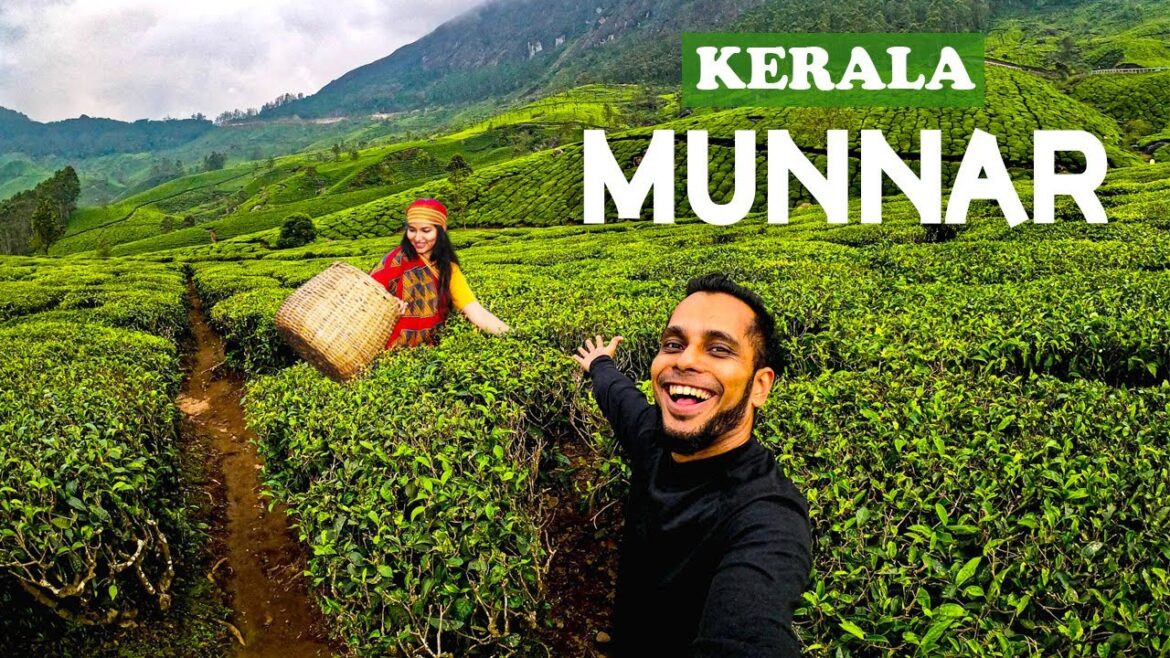 Kerala Tourist Places | Munnar Tea Garden | October 2022 | EP 1 Kerala Tourist Places | Munnar Tea Garden | October 2022 | EP 1