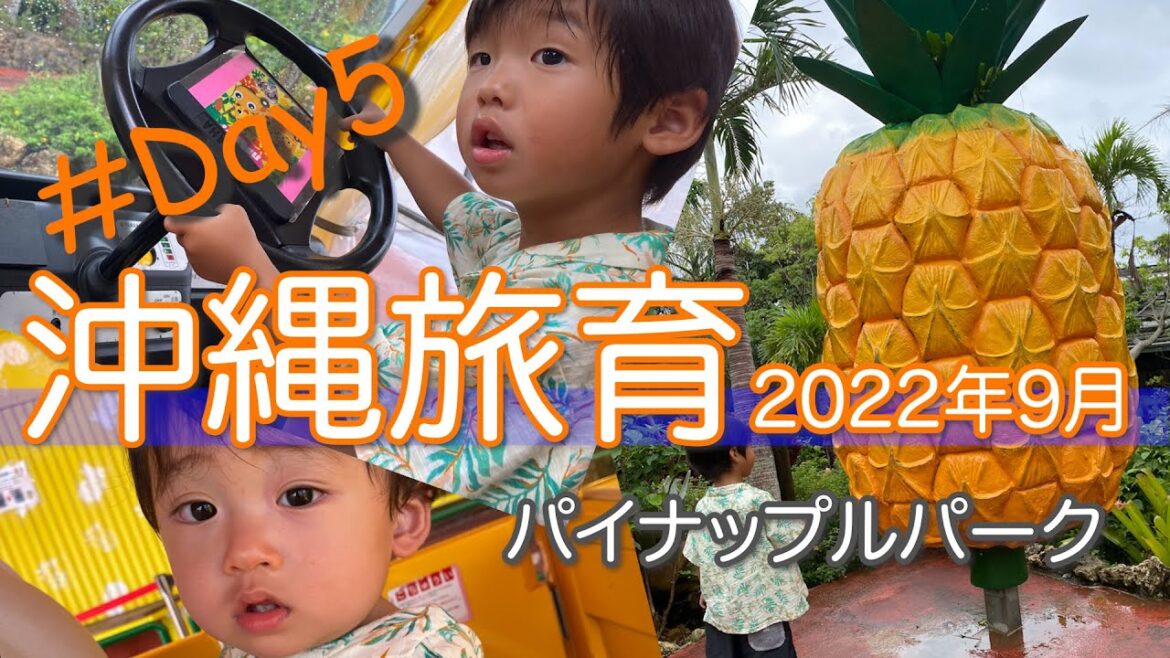 沖縄旅育2022年9月【5日目】 #おおしろ #ロイヤルビューホテル美ら海 #名護パイナップルパーク #北山食堂 #okinawa #travel #旅育 #沖縄 #子連れ旅 沖縄旅育2022年9月【5日目】 #おおしろ #ロイヤルビューホテル美ら海 #名護パイナップルパーク #北山食堂 #okinawa #travel #旅育 #沖縄 #子連れ旅