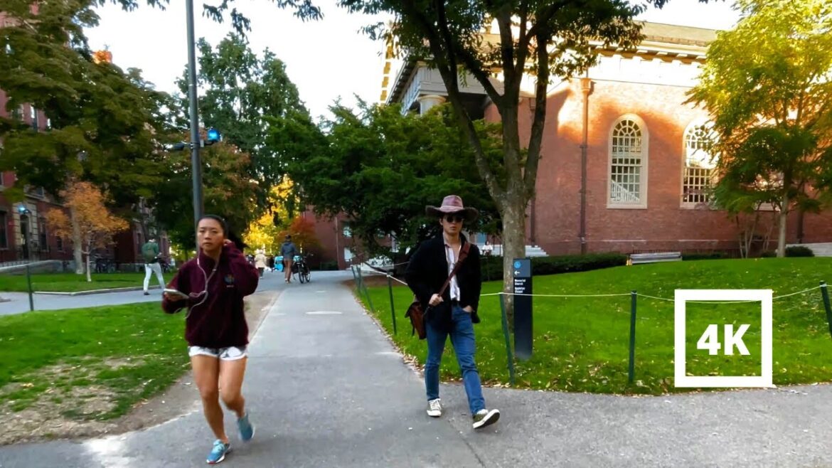 4K | Harvard University in Fall Autumn | Boston | Cambridge | City Urban Sounds ASMR