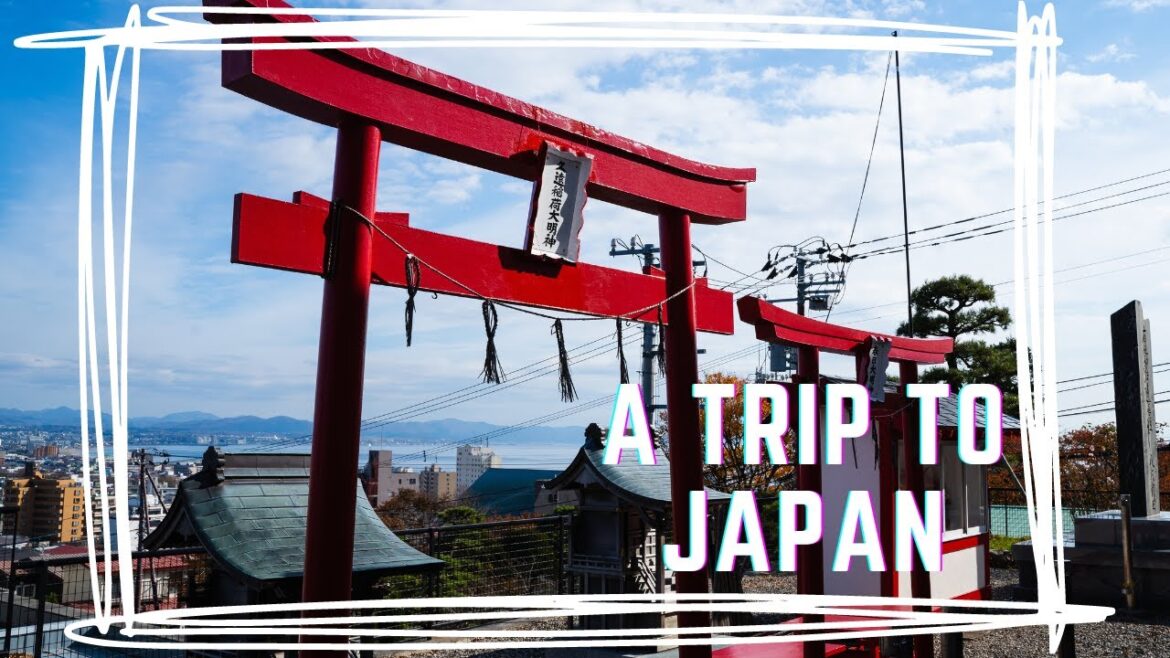 A trip to Japan | 2022 | 東京 | 北海道