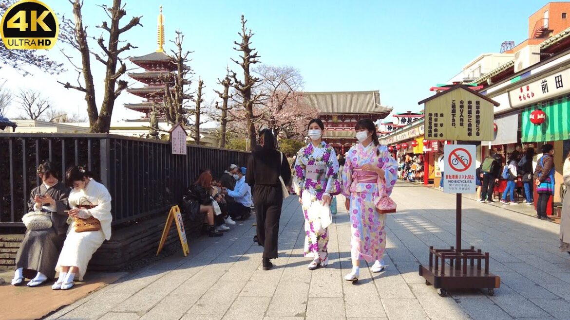 【4K】Tokyo Field Walk - Asakusa to TokyoSkytree - March 2022