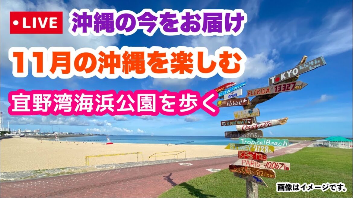 【沖縄の今をお届け】11月の沖縄楽しむ 宜野湾海浜公園をオンライン観光「沖縄旅行情報」