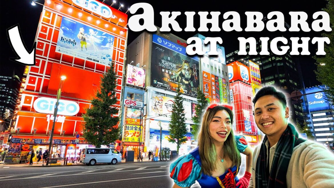Japan is Living in the FUTURE | TeamLab Planets Tokyo & Akihabara Japan is Living in the FUTURE | TeamLab Planets Tokyo & Akihabara