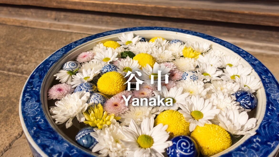 街並み散策と寺めぐりをした秋晴れの日｜東京散歩