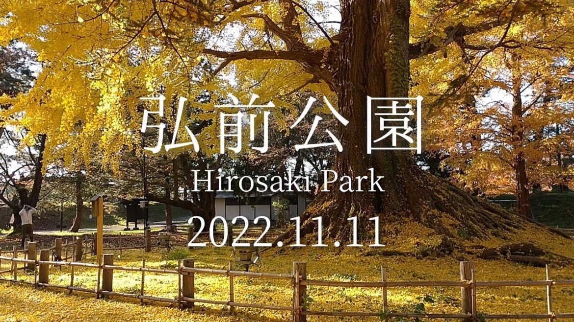 【まだ間に合う!】弘前公園の紅葉 2022.11.11|Autumn leaves in Hirosaki Park 【まだ間に合う!】弘前公園の紅葉 2022.11.11|Autumn leaves in Hirosaki Park