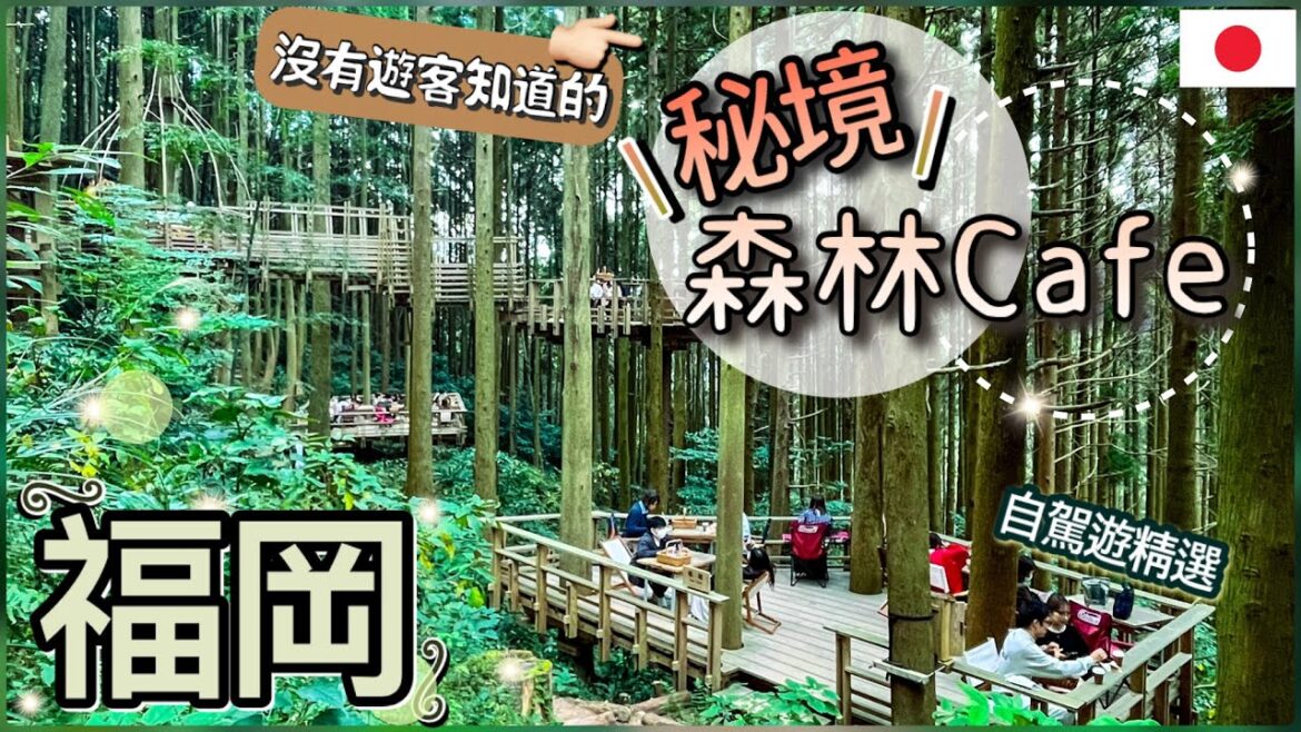 [福岡-秘景森林CAFÉ] 在地人才知道的絕美CAFÉ | 走進幽靈公主的世界 |遠離煩囂 |市區出發只需35分鐘 |自駕遊精選!
