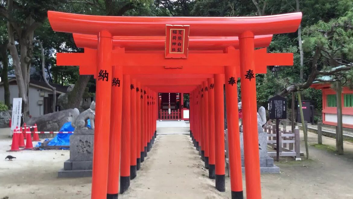 Come and experience the incredible Sumiyoshi Shrine in Fukuoka, Japan.