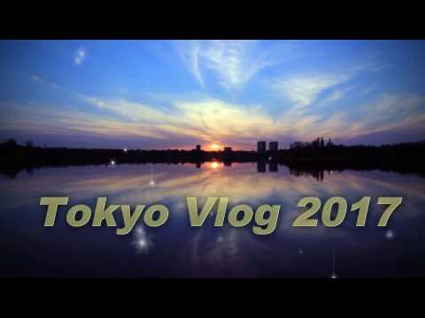 Bon-saya sa Japan 1.0 || Tokyo Trip 2017 Bon-saya sa Japan 1.0 || Tokyo Trip 2017
