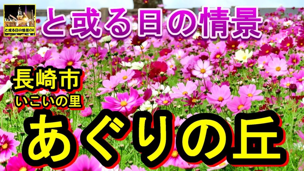 と或る日の情景　あぐりの丘【長崎県】長崎市