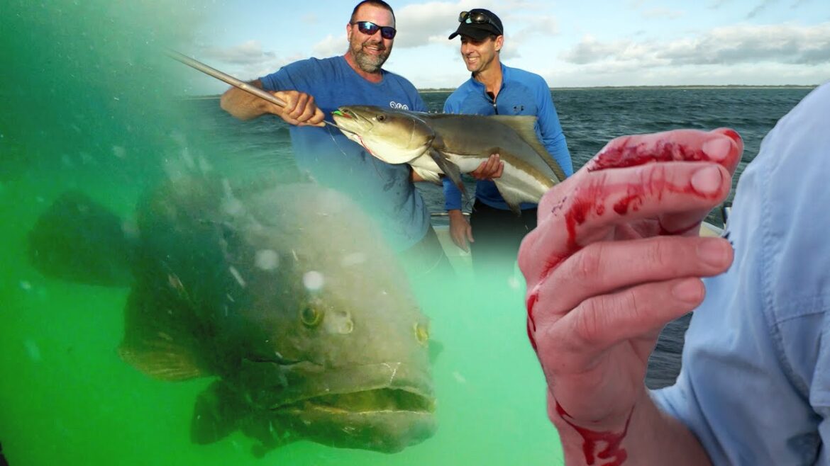 Monster Cobia & Man-eating Groupers in the Cape