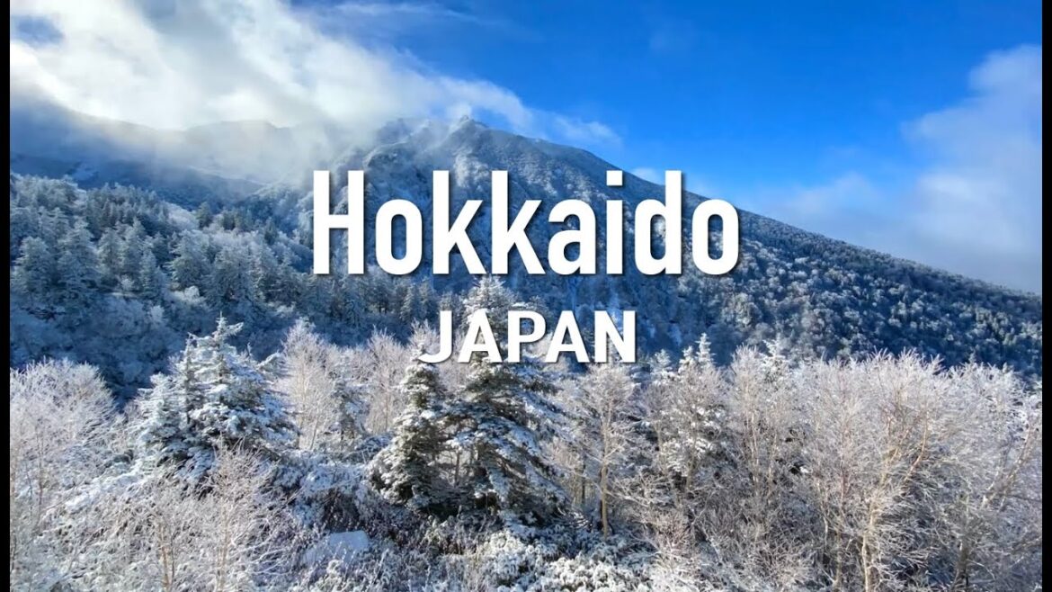 【北海道十勝岳の雪景色】タイムラプスで撮影した初雪の映像