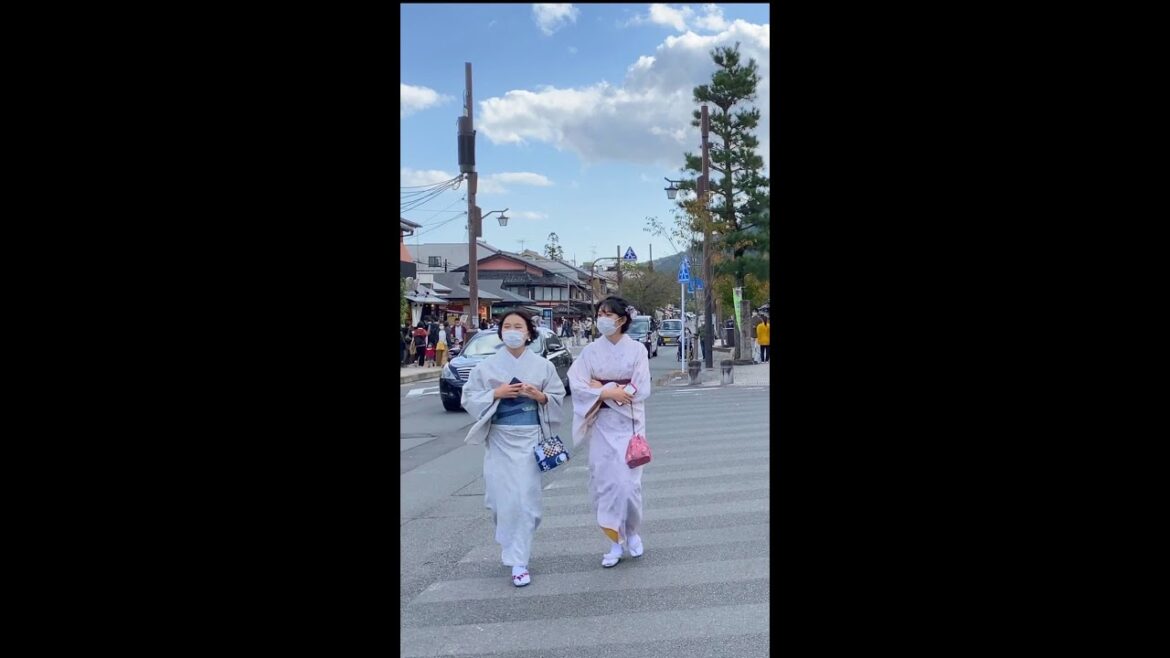 Japanese kimono 👘 - 日本着物