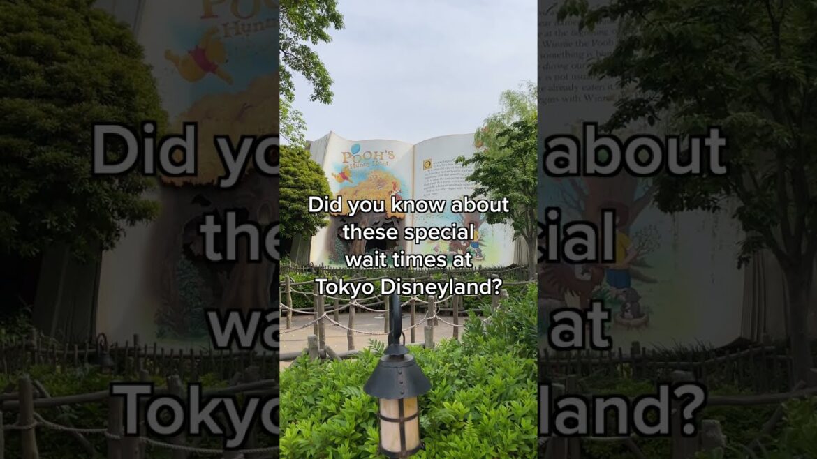 What these random wait times mean at Tokyo Disneyland