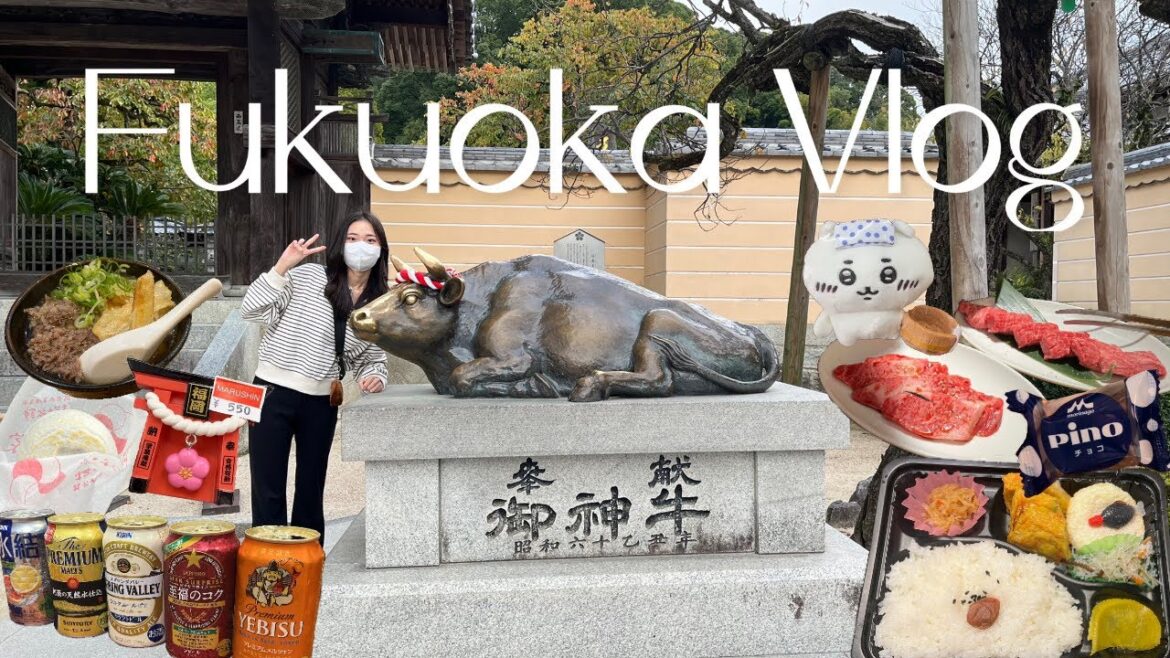 후쿠오카 vlog | 격리 끝 나홀로 후쿠오카 여행 시작 ! 인생 첫 게하에서 맥주 파티🍻 #우동타이라 #다자이후 #캐널시티 #가챠샵 #야끼니쿠