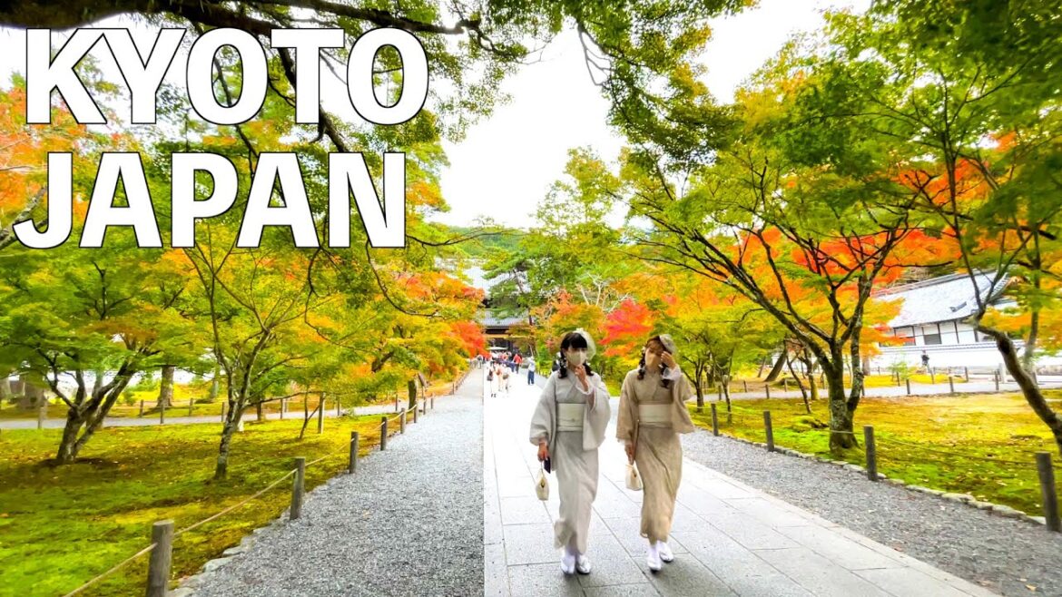 【4K】Autumn Kyoto, Nanzenji Temple Walking Tour | JAPAN 2022 【4K】Autumn Kyoto, Nanzenji Temple Walking Tour | JAPAN 2022