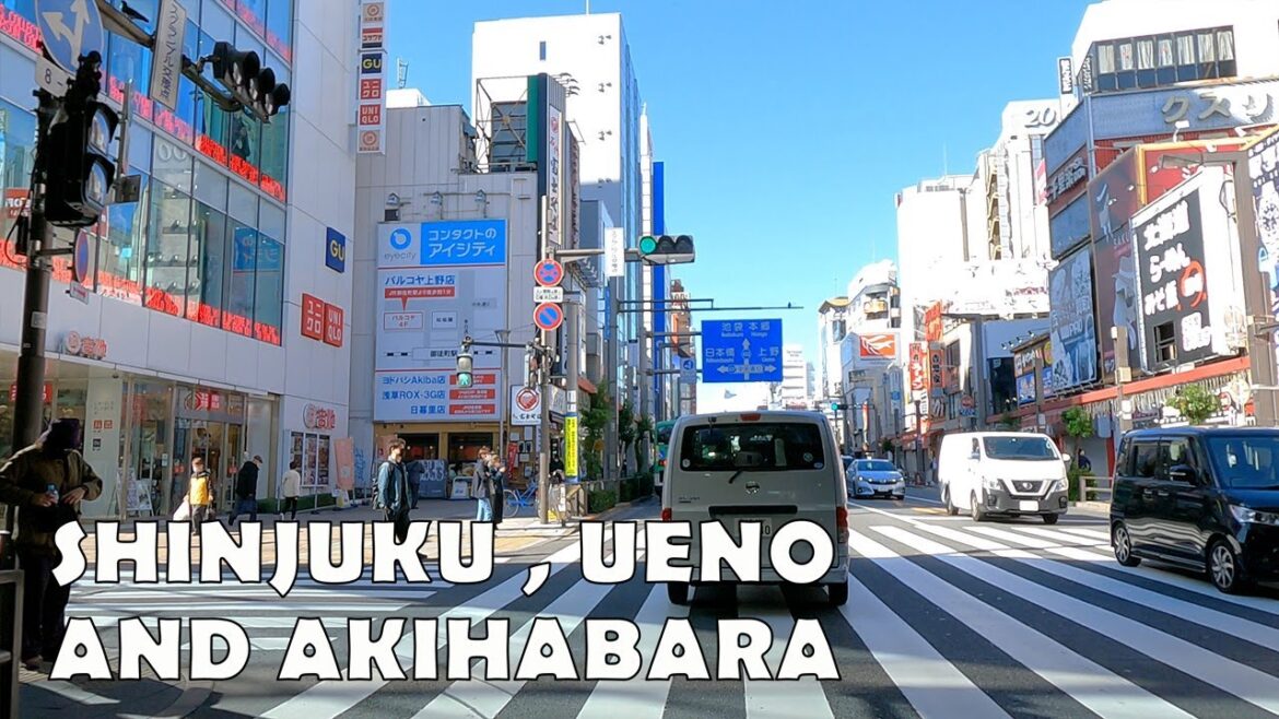 Japan 4K Tokyo Drive - Shinjuku, Ueno and Akihabara