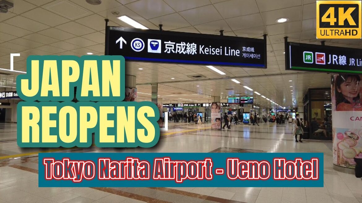 Tokyo Narita Airport to Ueno ｜Hotel Check in｜Japan｜4K