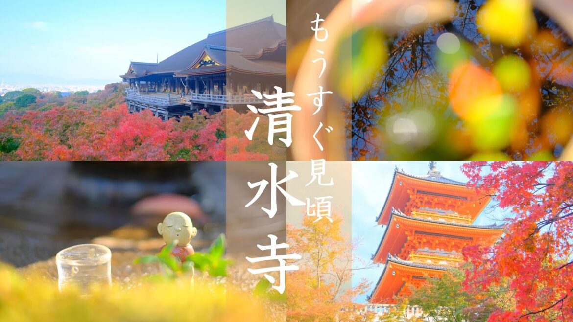【京都】もうすぐ見頃の紅葉:清水寺周辺早朝散策|八坂庚申堂|八坂の塔|二寧坂|産寧坂|清水寺|(Kyoto,Japan) 【京都】もうすぐ見頃の紅葉:清水寺周辺早朝散策|八坂庚申堂|八坂の塔|二寧坂|産寧坂|清水寺|(Kyoto,Japan)
