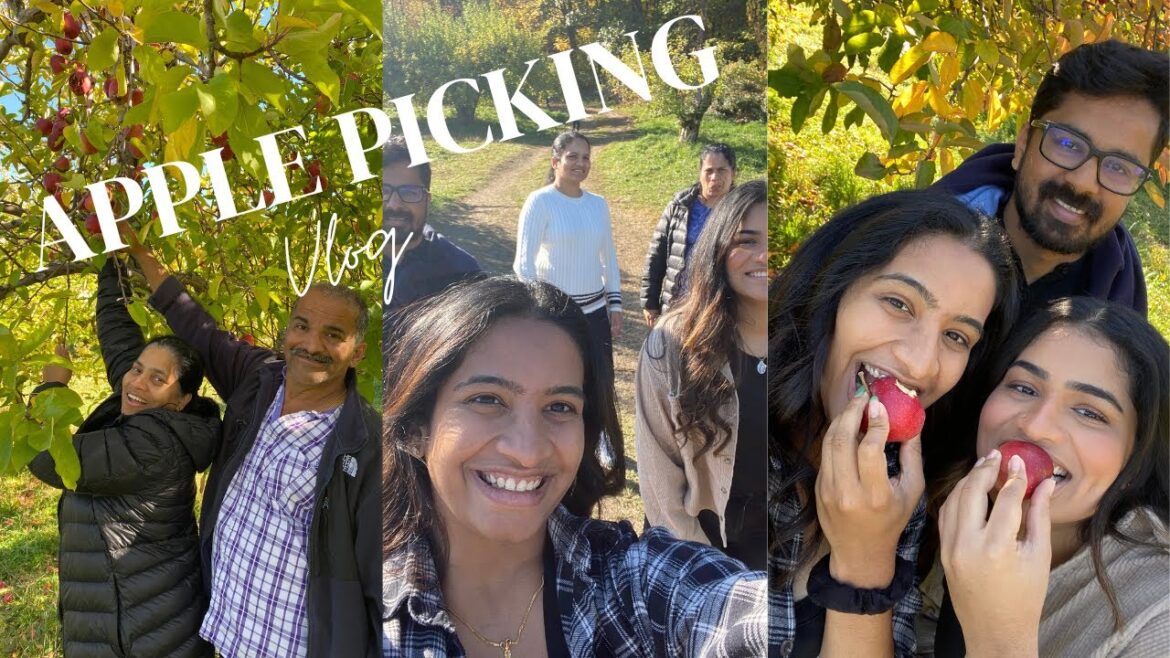 Apple Picking Vlog | Malayalam | New York