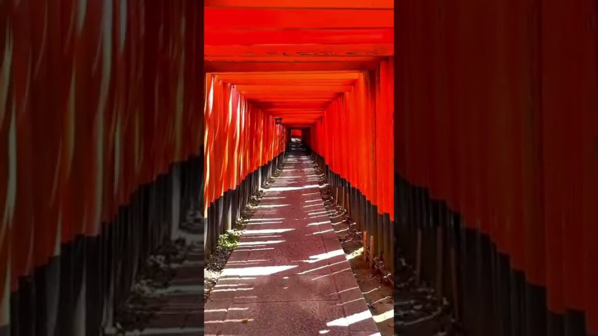 ⛩️ Empty Fushimi inari in Kyoto ⛩️ Empty Fushimi inari in Kyoto