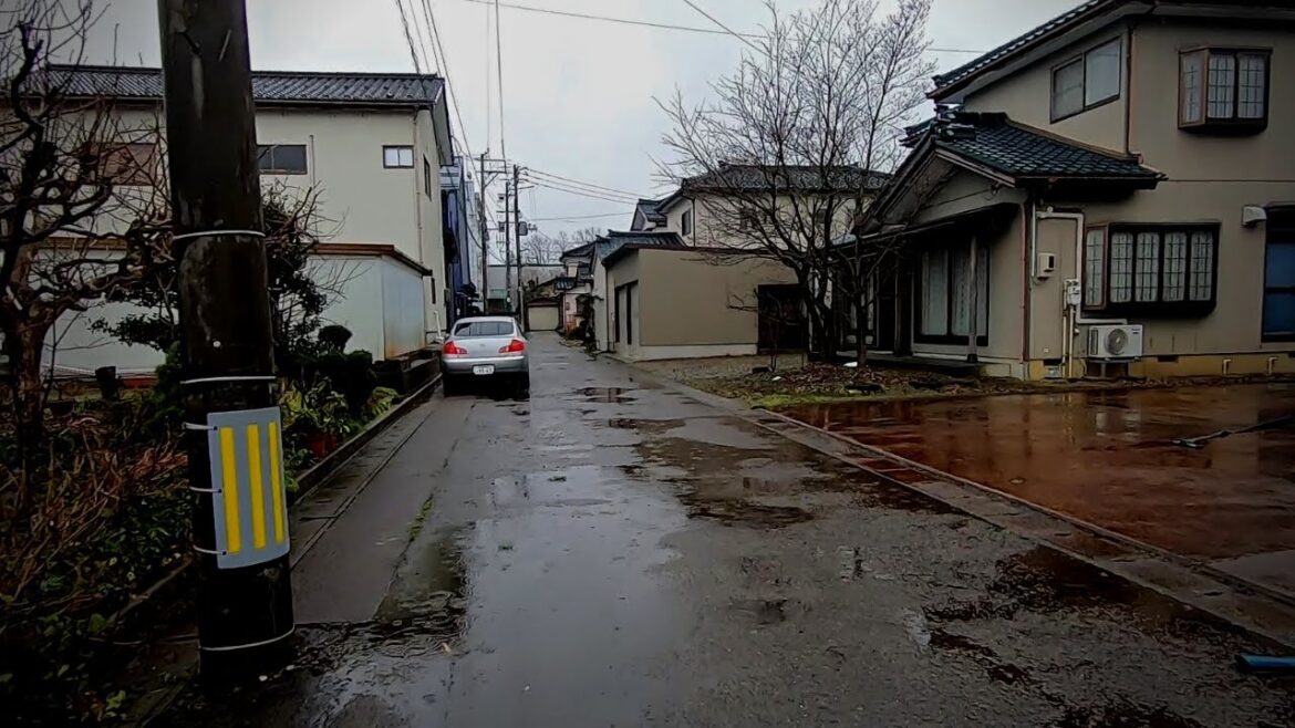 [Heavy Rain day]Relaxing Heavy Rainy Walking in Japan, ASMR Tsubame