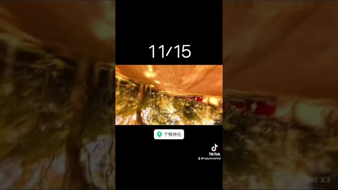 Guide to famous places in Japan(Shimogamojinjya   kyoto,japan)#shorts #shorts