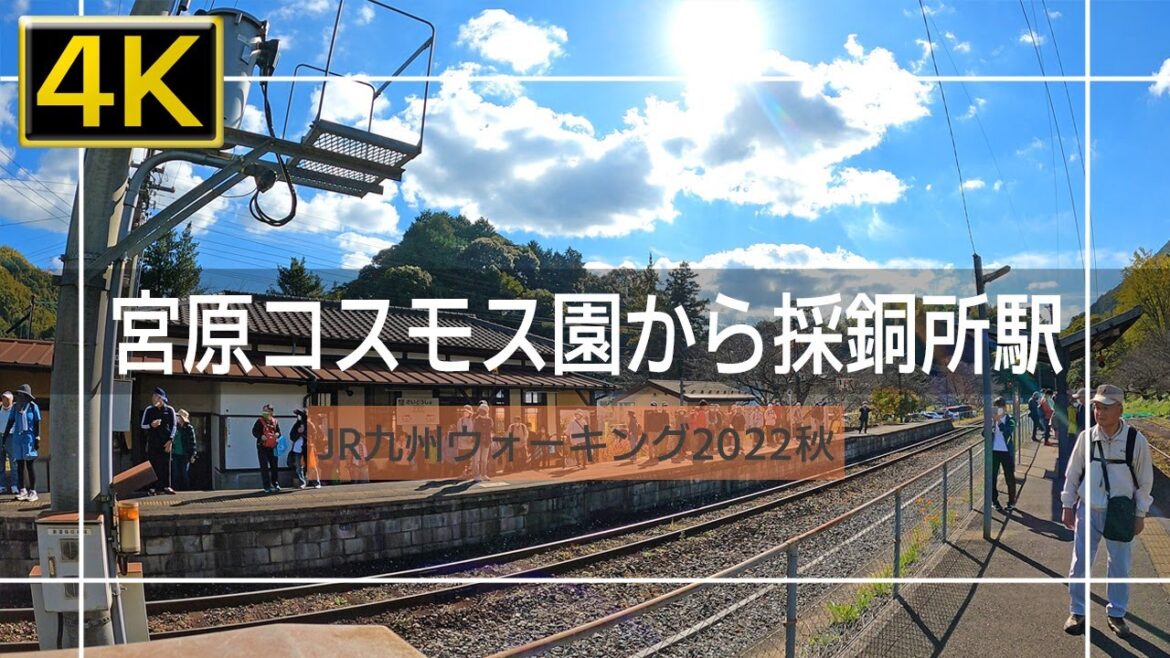 【2022年11月】JR九州ウォーキング2022秋 「香春！宮原コスモス」ウォーキング 後篇【4K】
