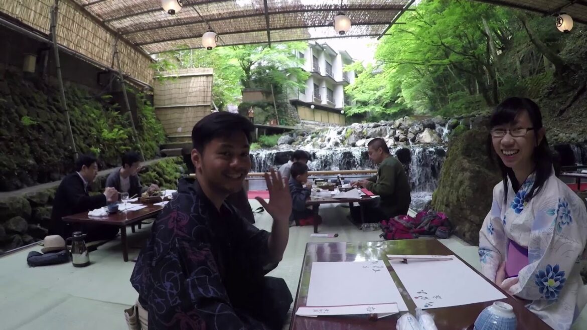 Japan 2016 Travel Video – Tokyo, Kyoto, Osaka, Nara, Hakone Japan 2016 Travel Video - Tokyo, Kyoto, Osaka, Nara, Hakone