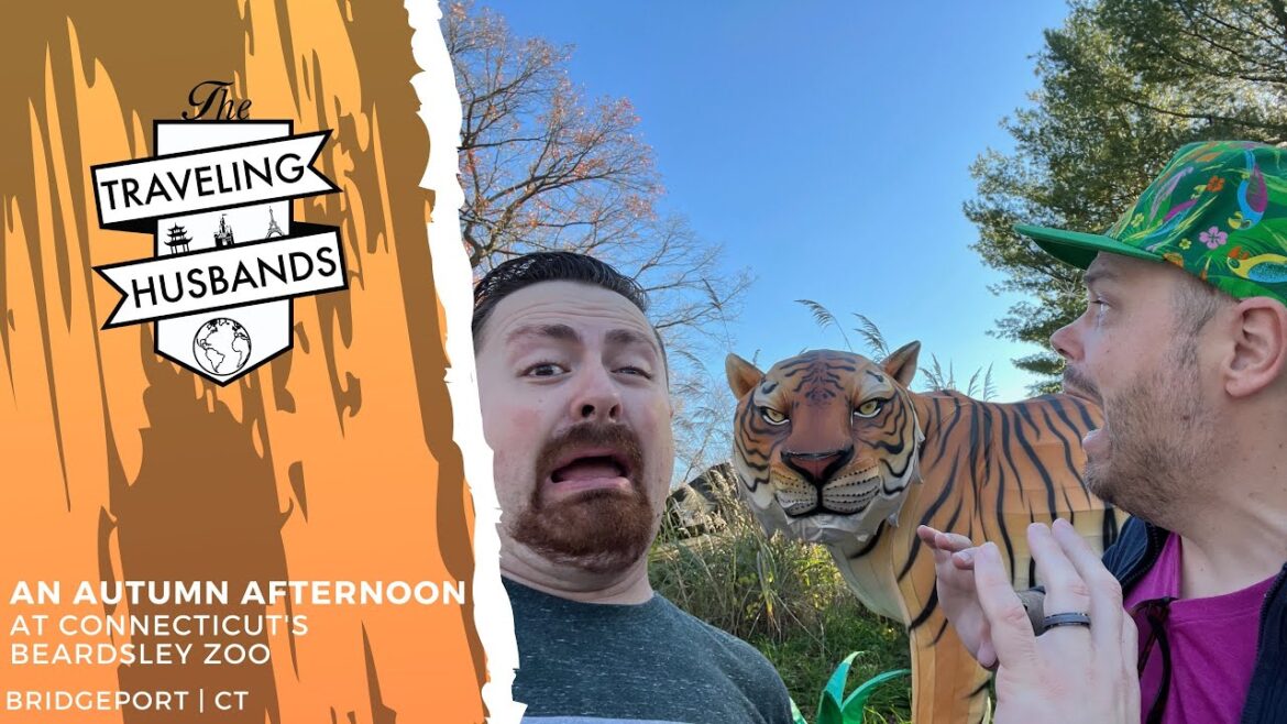 An Autumn Day at Connecticut's Beardsley Zoo