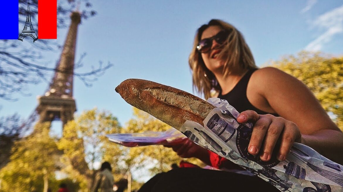 AM FACUT PICNIC IN FATA TURNULUI EIFFEL SI AM FOST ATACATI!