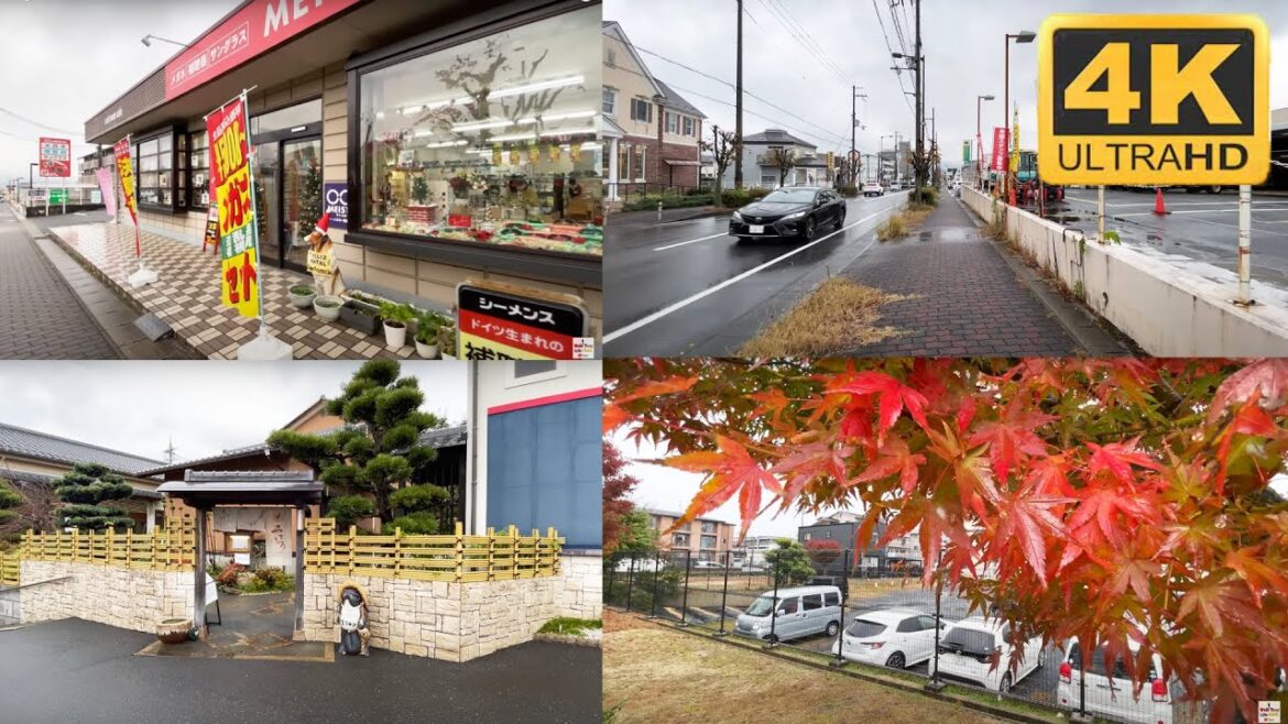 4K JAPAN - Around Walk Auturm Japanese House countryside Shiga Japan - Japan Walking Tour
