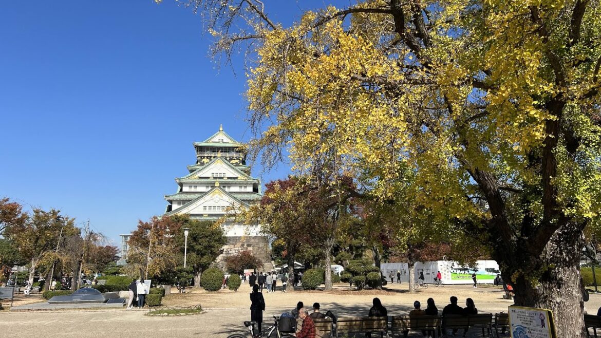 Travel Japan 🇯🇵: Autumn Leaves 🍁 紅葉 at Osaka Castle #LIVE
