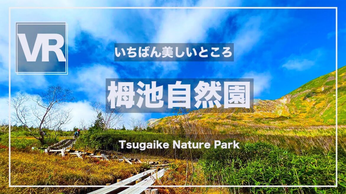 《 5.7K VR 高画質 [ 360°Japan Travel ]栂池自然園　長野県小谷村　Nagano　VRゴーグル推奨