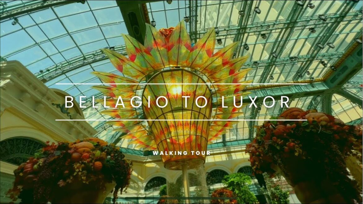 Las Vegas Resort Walking Tour Bellagio conservatory to Luxor. Las Vegas Resort Walking Tour Bellagio conservatory to Luxor.