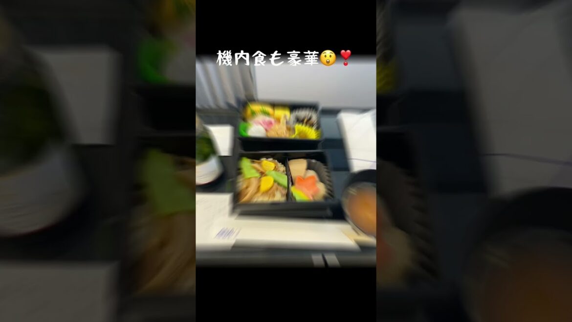 【2022年秋】沖縄ワーケーションの旅2🌺仙台-那覇線✈️ANAプレミアムシートが最高でした🥹