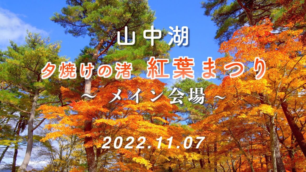 2022.11.07 『山中湖夕焼けの渚』紅葉まつり（メイン会場） [4K] #Yamanakako #Autumn_Leaves_Festival