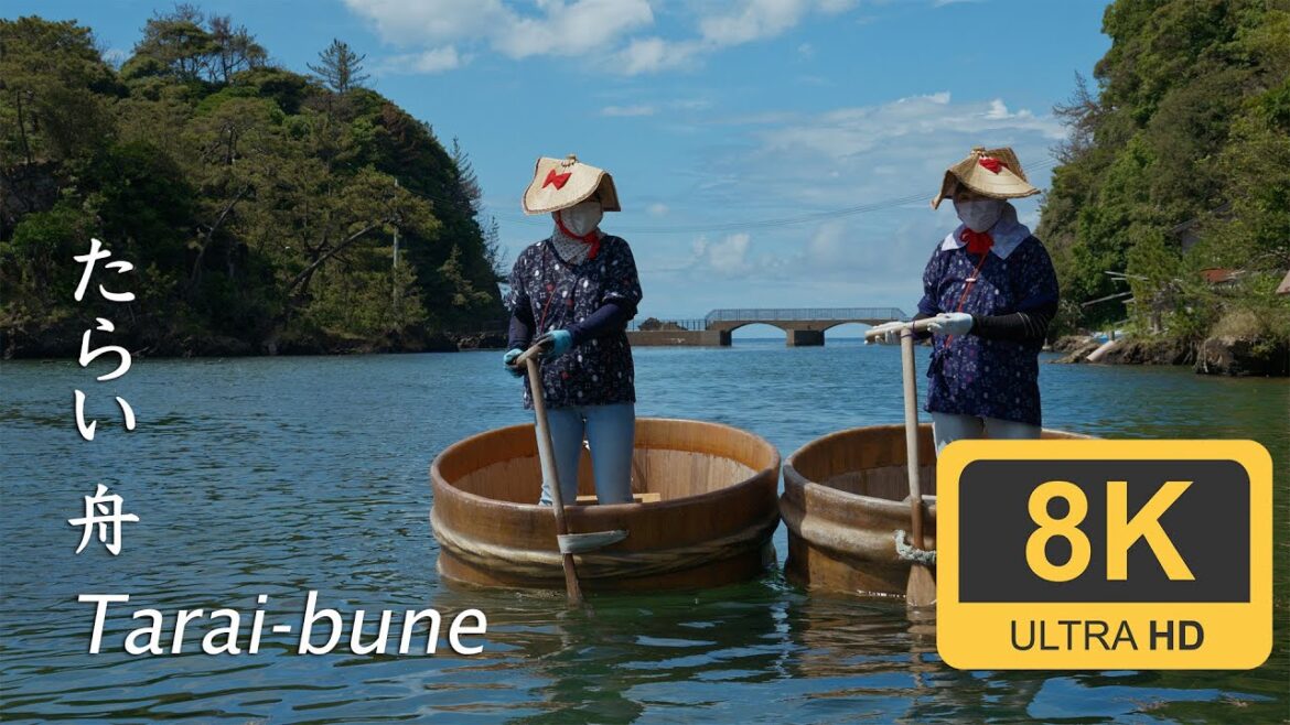 Tarai Bune, Sado’s authentic experience - Sado - たらい舟
