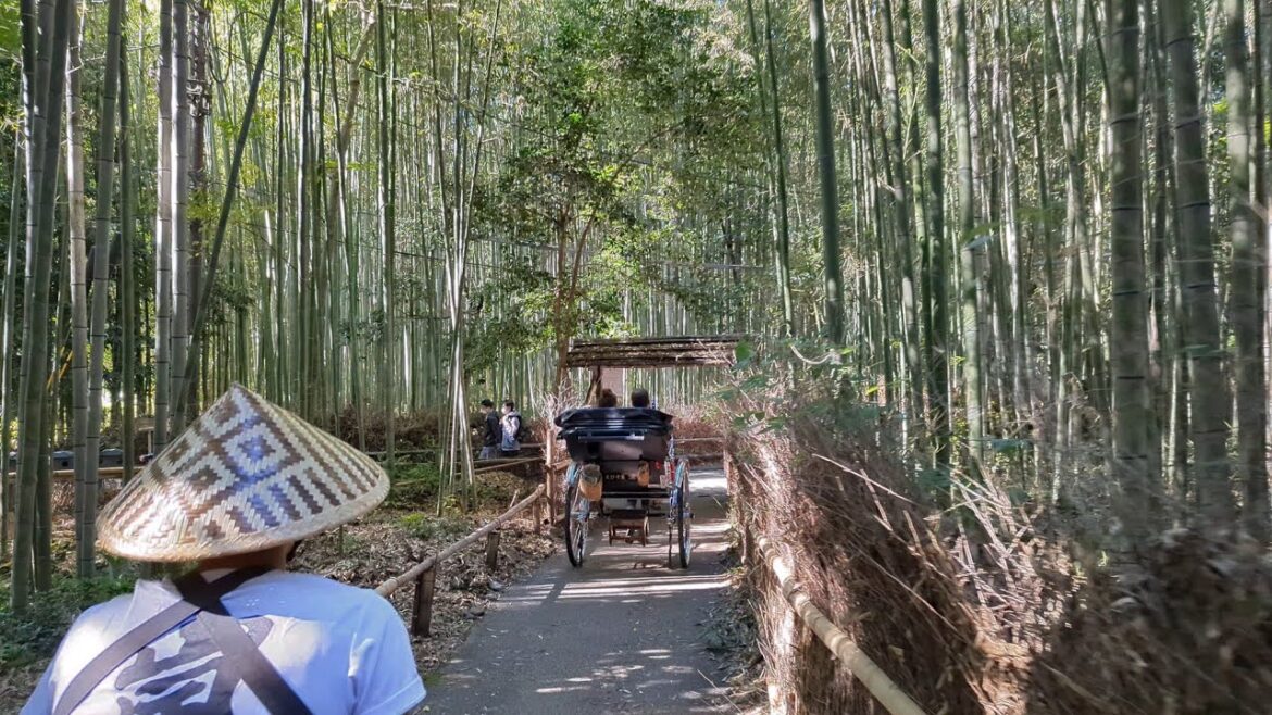 Rickshaw Through Arashiyama Bamboo Forest, Kyoto Japan // 4K HDR