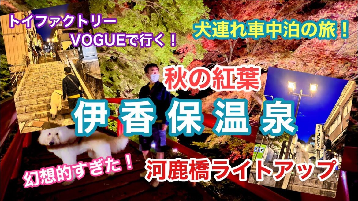【2022秋旅始動！】伊香保温泉の紅葉ライトアップが幻想的すぎた！