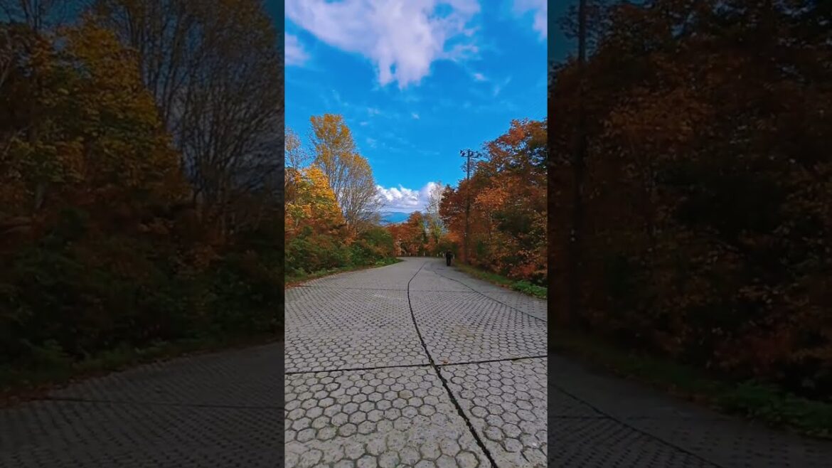 Autumn in Sado, Niigata