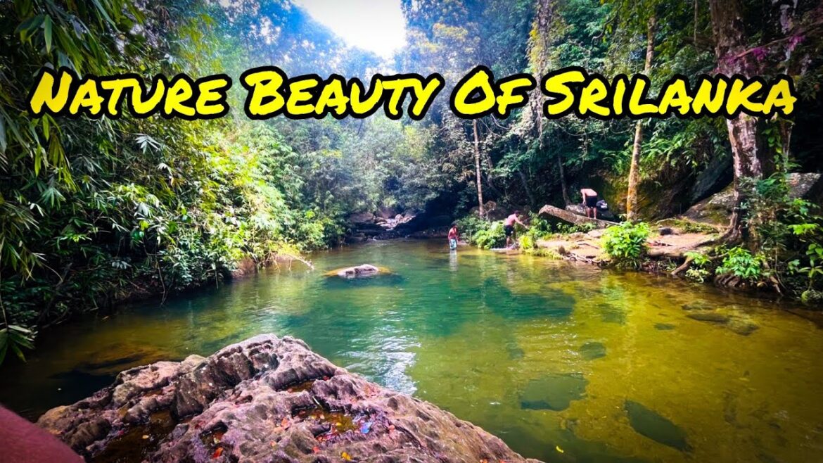 Nature Beauty Of Sri Lanka | Swimming😍