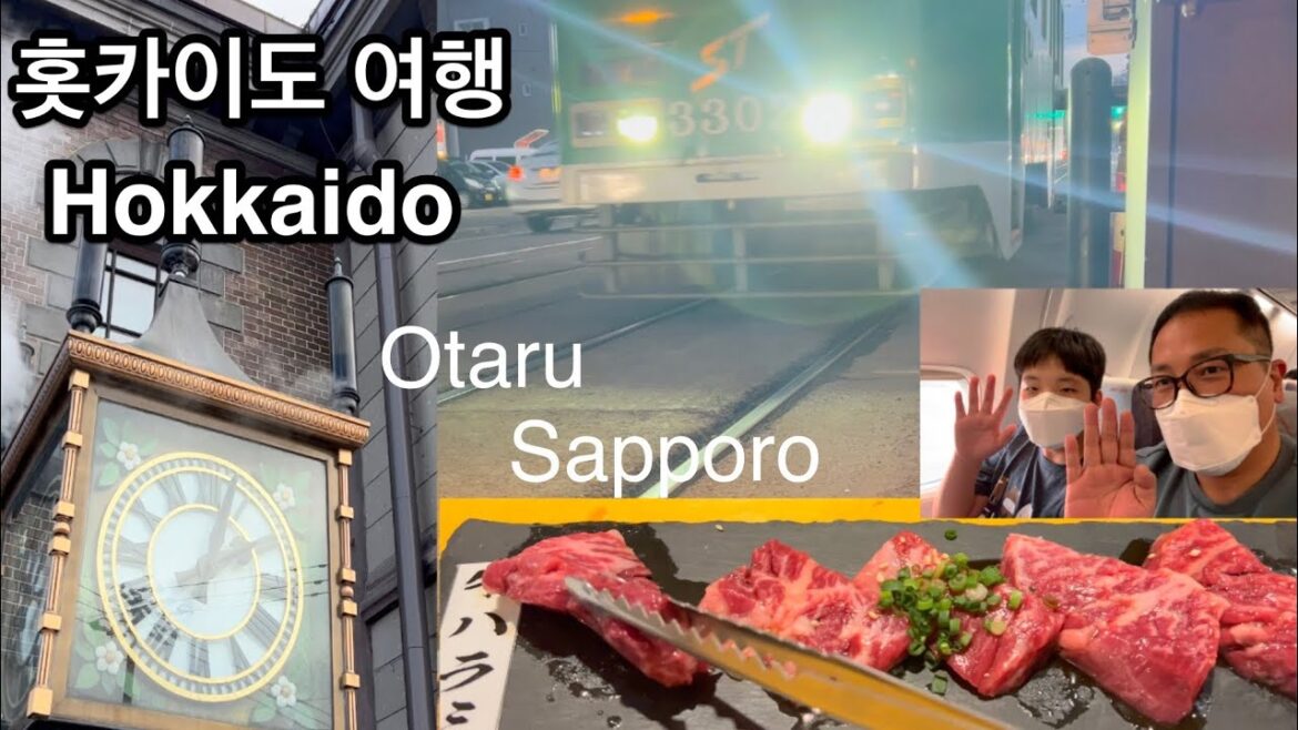 3년 만에 떠난 해외여행 삿포로, 오타루 | Travel to Hokkaido after 3 years | 3年ぶりの海外旅行北海道 3년 만에 떠난 해외여행 삿포로, 오타루 | Travel to Hokkaido after 3 years | 3年ぶりの海外旅行北海道