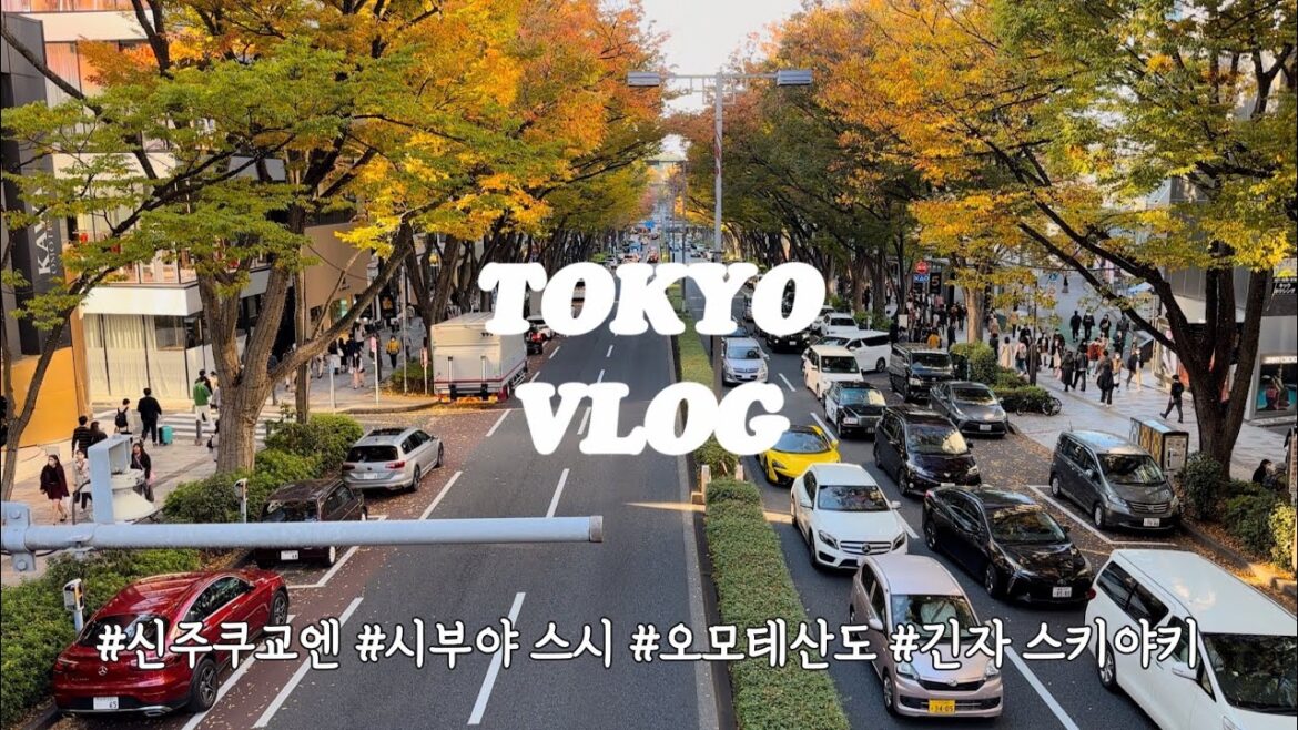 코로나 이후 첫 해외여행 | 🇯🇵TOKYO - 2 -