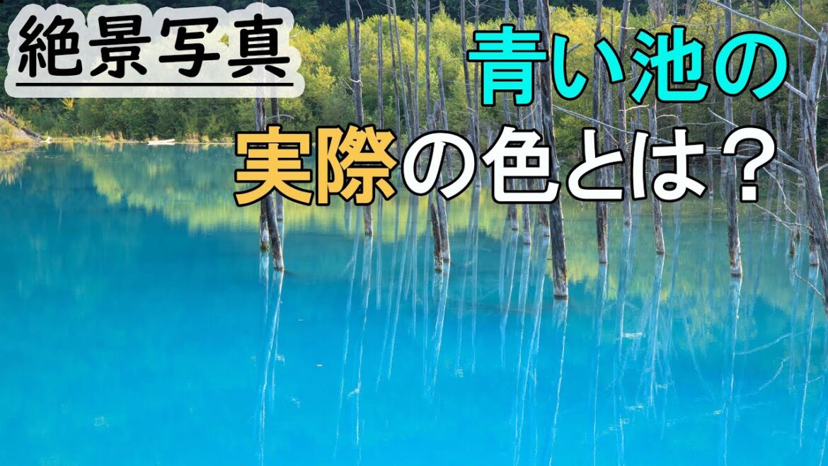 【北海道特別編2019 #8】北海道旅行,富良野,美瑛のおすすめの写真撮影スポット、青い池、新栄の丘、ジェットコースターの路、千望峠、しらひげの滝,,vlog japan,furano, biei 【北海道特別編2019 #8】北海道旅行,富良野,美瑛のおすすめの写真撮影スポット、青い池、新栄の丘、ジェットコースターの路、千望峠、しらひげの滝,,vlog japan,furano, biei