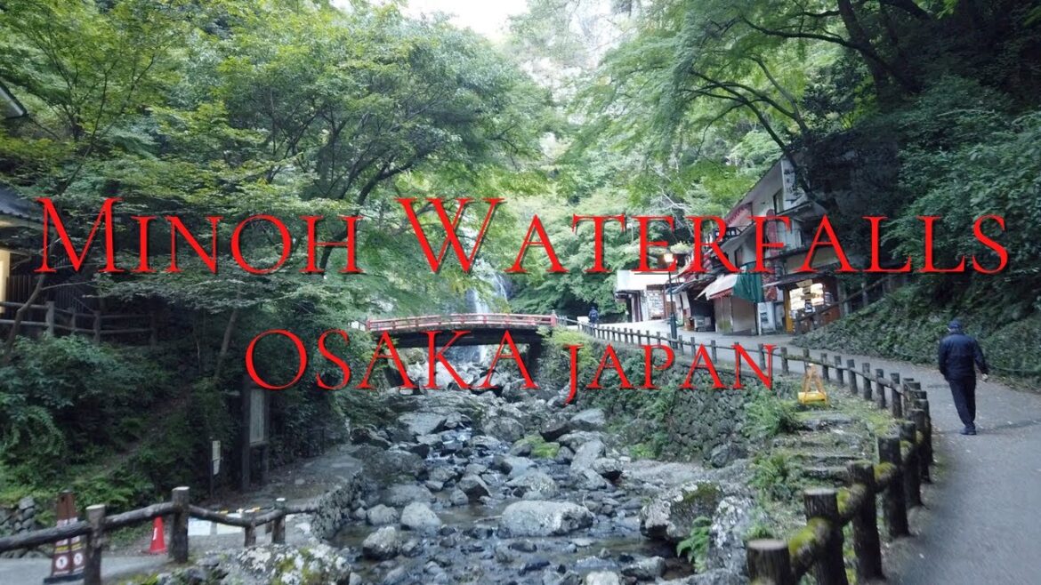 Osaka Morning Walk Tour - Minoh Waterfalls - Osaka, Japan | 箕面大滝