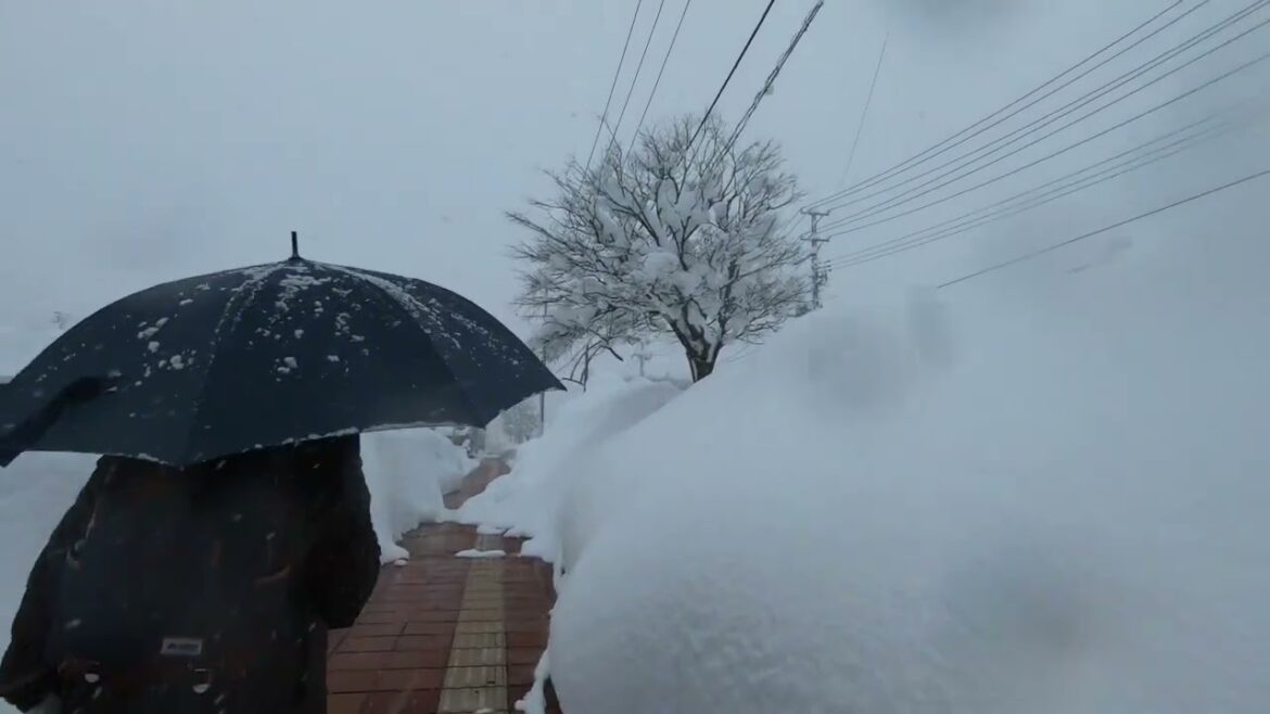 Heavy winter snowfall in Omagari City, Akita Prefecture, the city of fireworks.